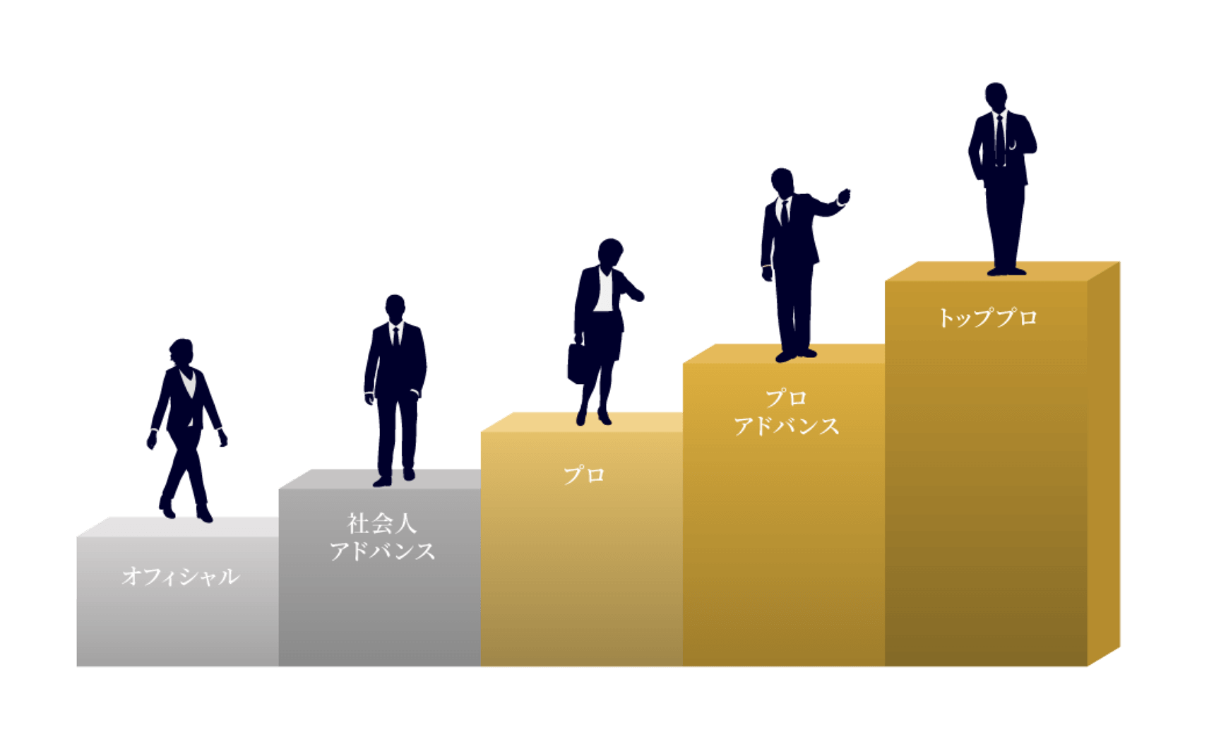 オフィシャル→社会人アドバンス→プロ→プロアドバンス→トッププロ