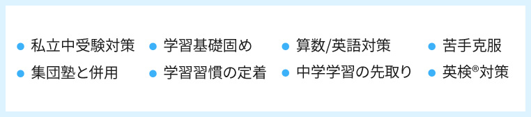 ・私立中受験対策 ・集団塾と併用 ・学習基礎固め ・学習習慣の定着 ・算数／英語対策 ・中学学習の先取り ・苦手克服 ・英検®対策