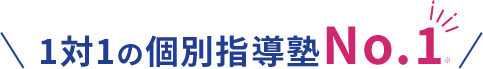 1対1の個別指導塾No.1※